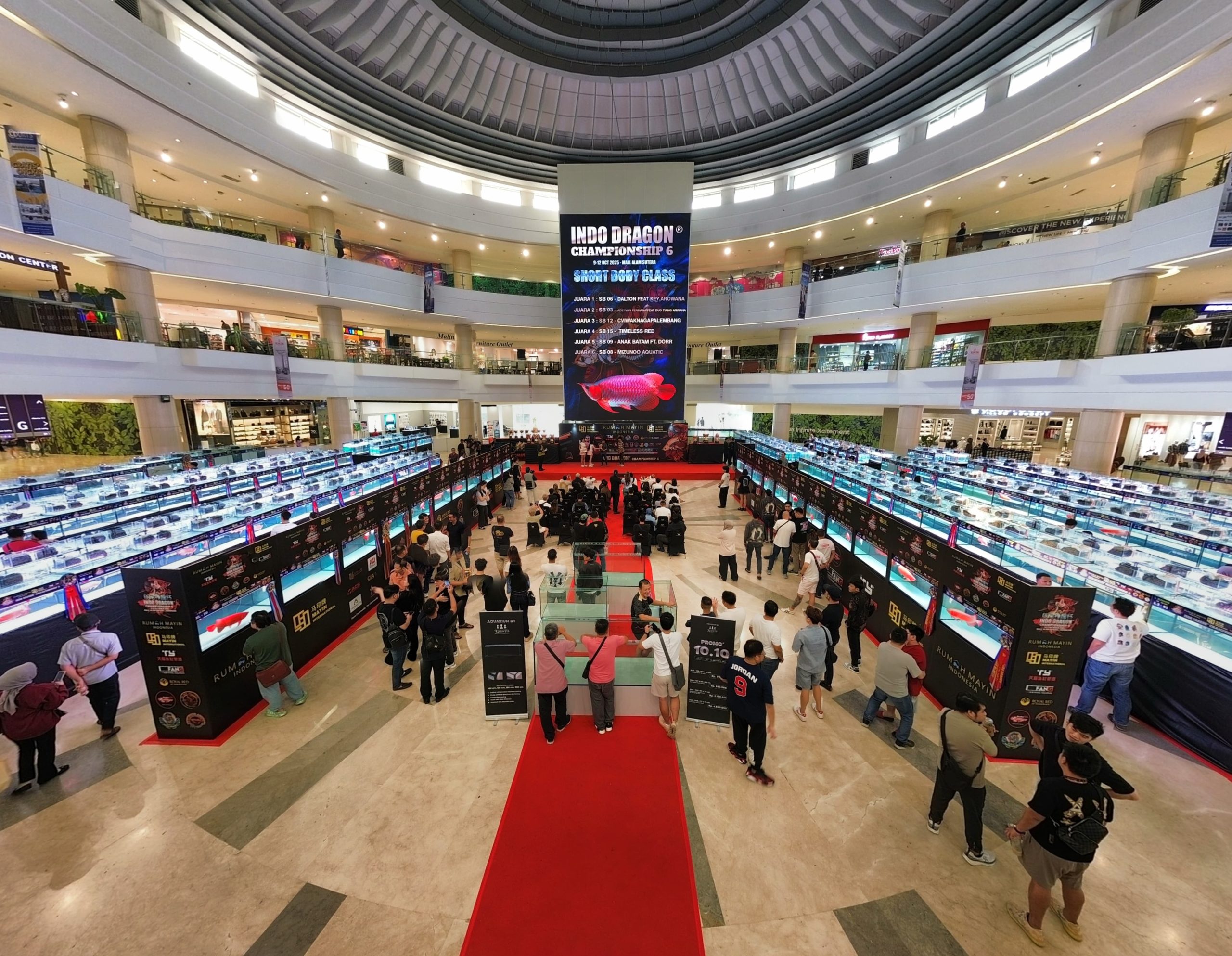 whatsapp image 2025 11 13 at 13.35.58